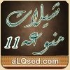 شيلات منوعه 11