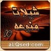 شيلات منوعه 10